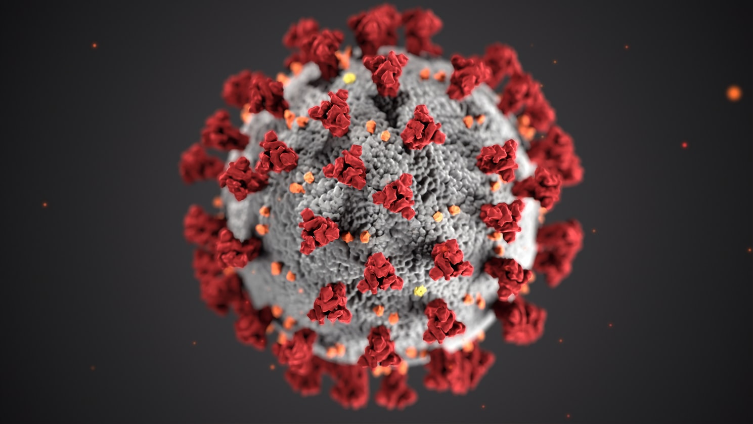 Corona virus - preventívne opatrenia a základné upozornenia